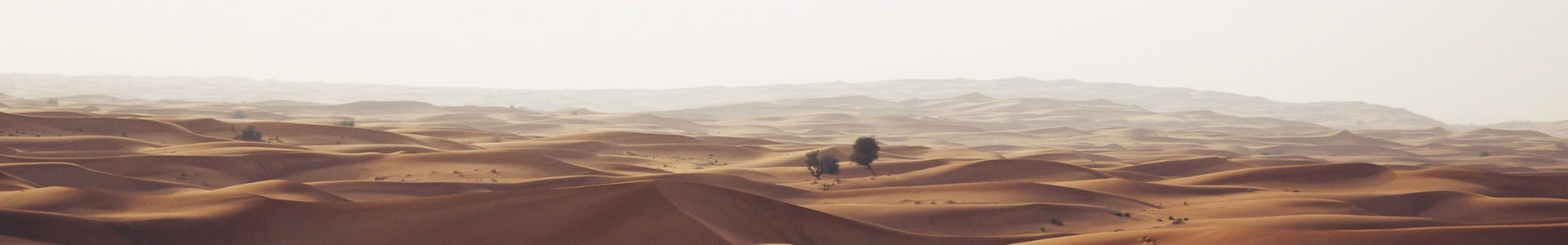 ڻԻͿó׹˾